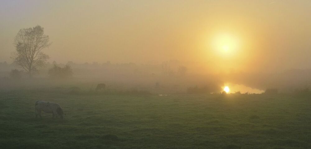 Early in the summer morning.