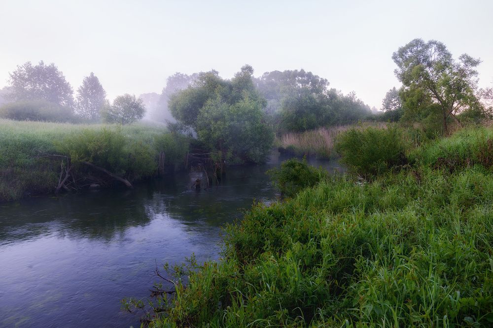 Вихровское, утреннее.