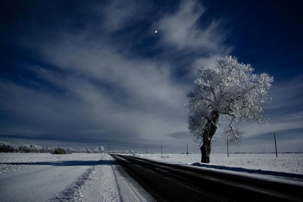 Photo 94666