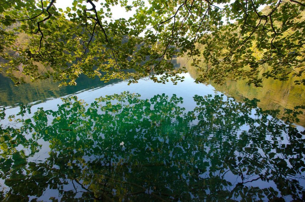 Живая вода