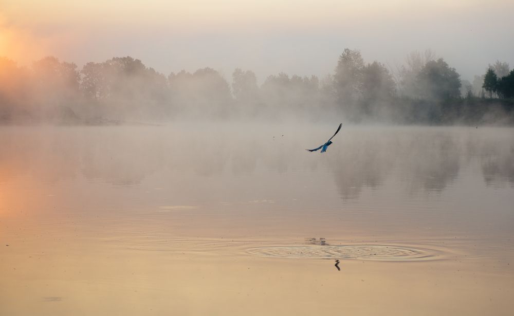 На реке
