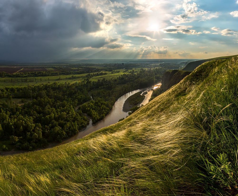 Цветёт ковыль.
