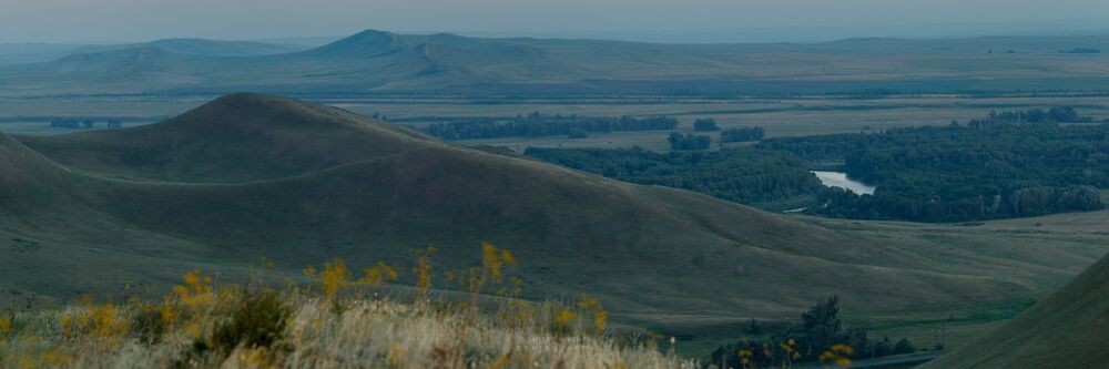 Весной тут цветет ирис, желтый тюльпан Биберштейна (он же тюльпан дубравный), а так же Прострел раскрытый (или по-простому Сон-трава).
Долгие горы, Южный Урал. Фото - Дмитрий Илышев