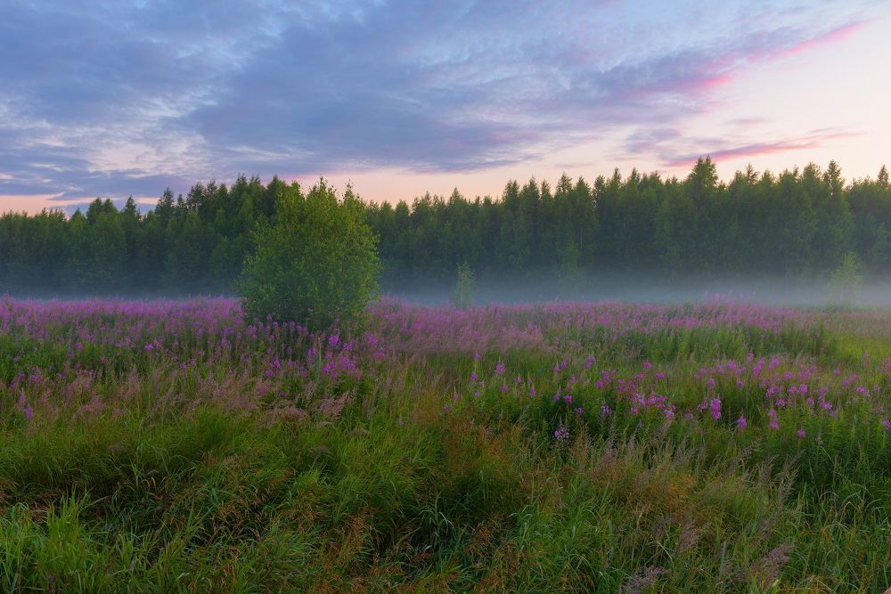 *