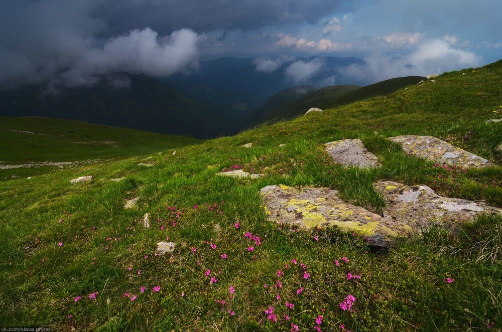 По тропинке с облаками