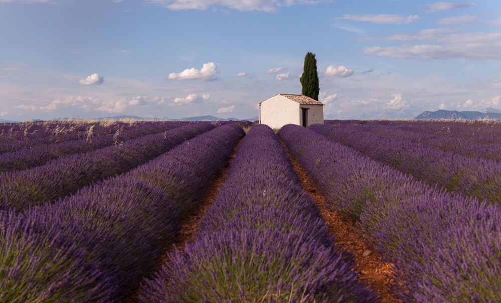 France, 