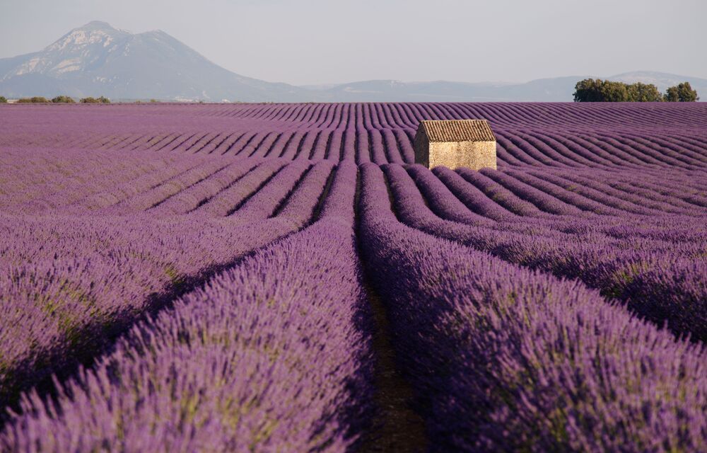 France, 