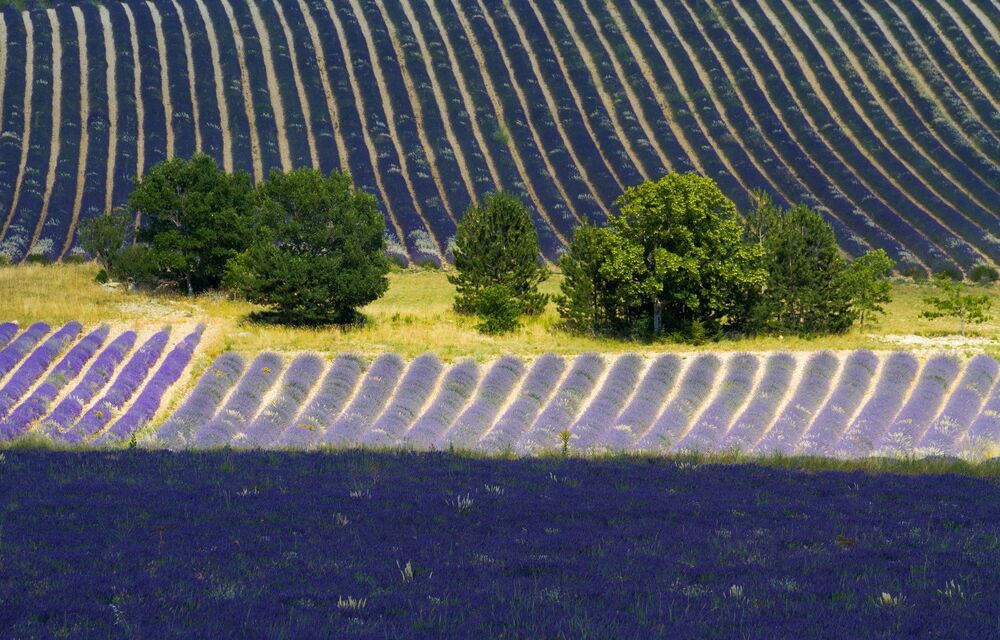 France, 
