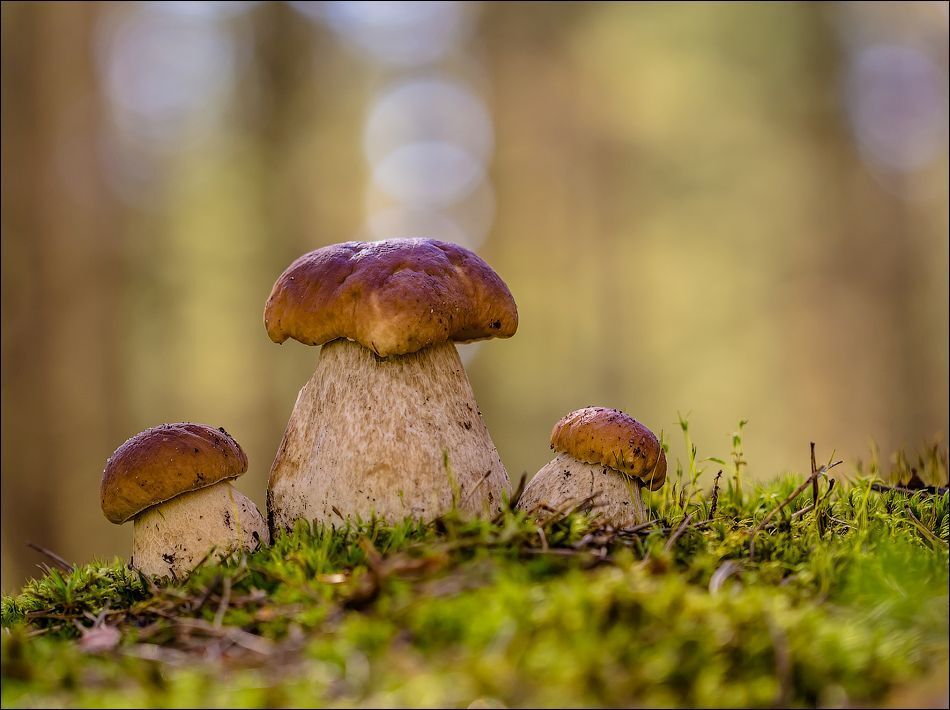 На прогулке)