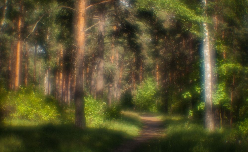 Там, на неведомых дорожках