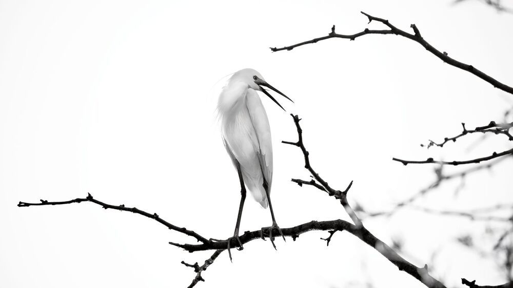 Природа