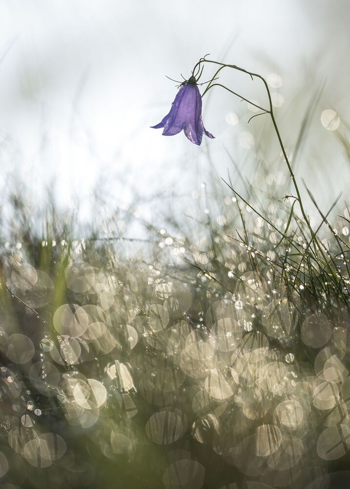Природа