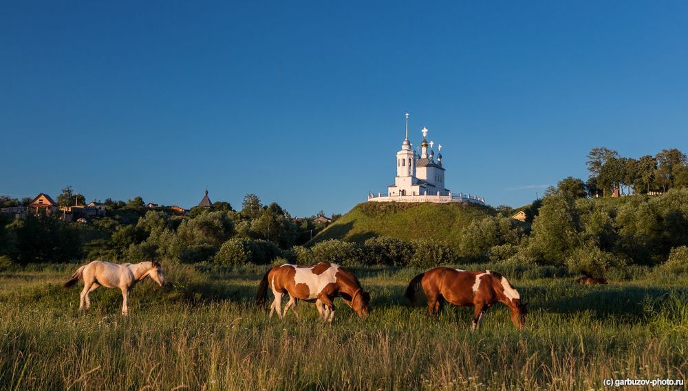 Солнечные лошадки в п. Епифань Тульской области