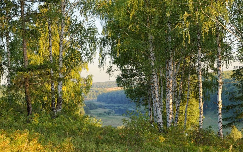 Скоро осень