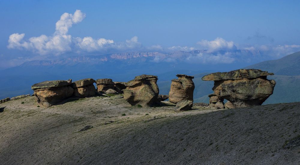 Поляна каменных грибов