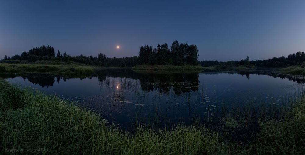 луна в кувшинках путалась...