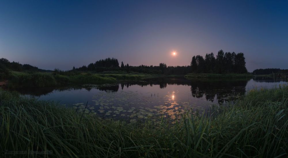луна в кувшинках путалась...