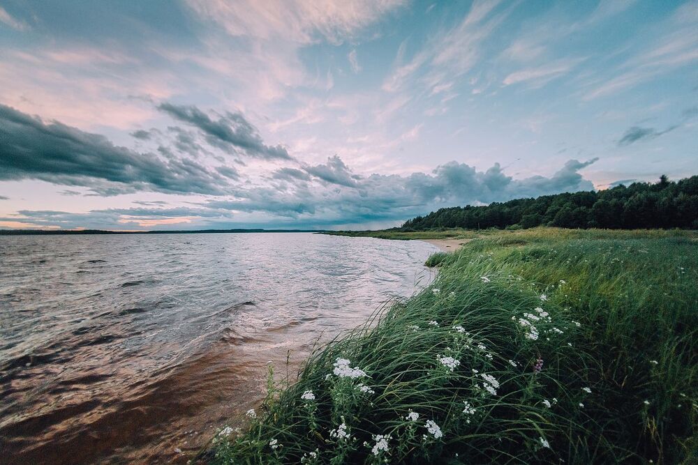 Долгомель
