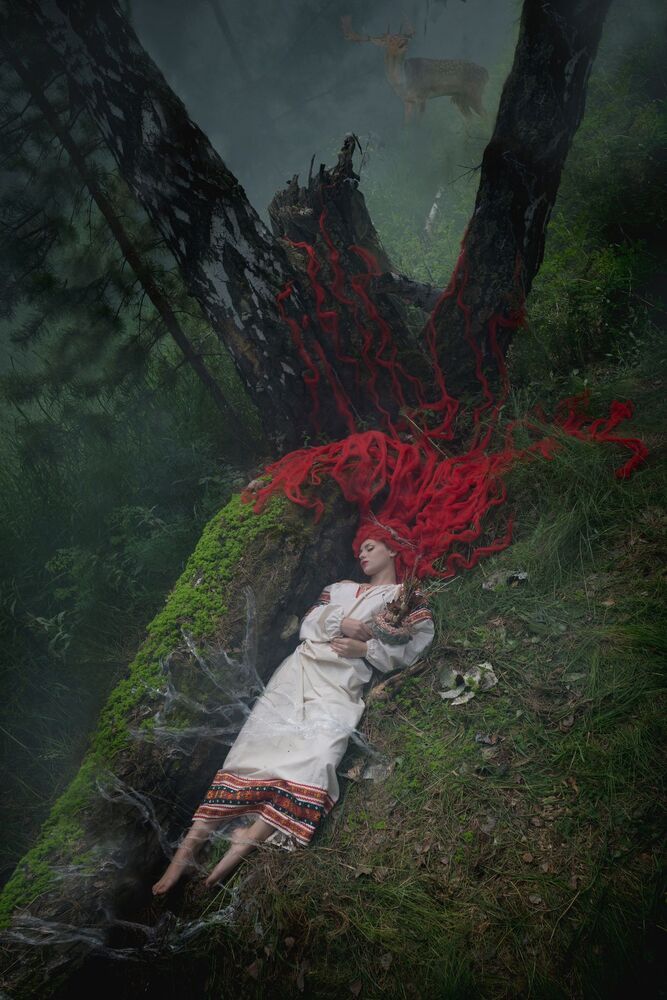 enchanted forest