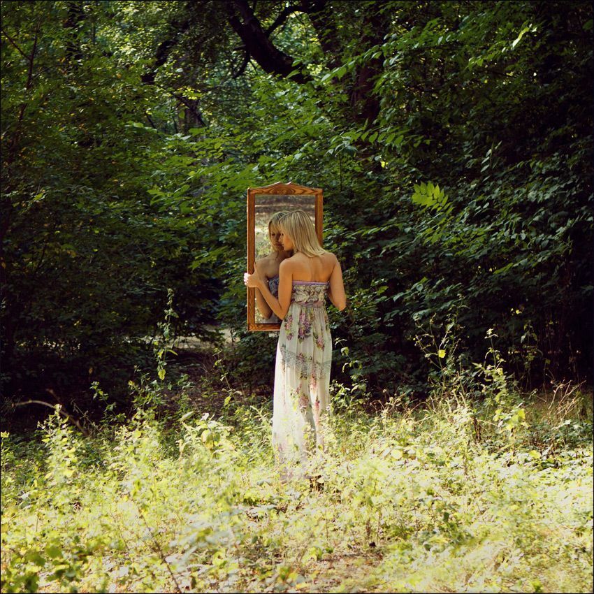 in the world of reflections