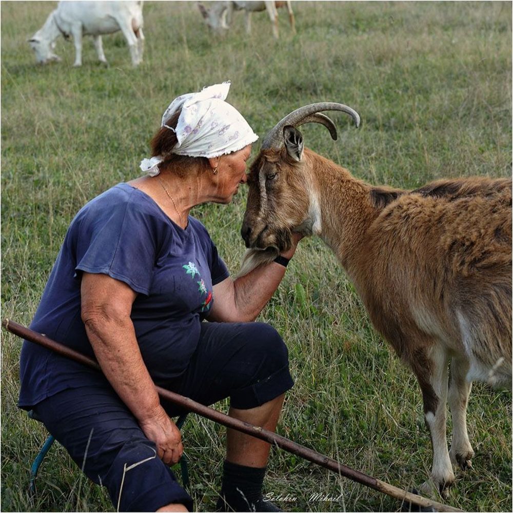 Баба Нина и коза Зина
