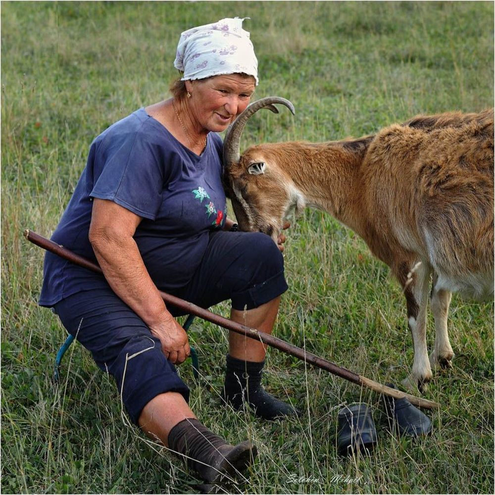 Баба Нина и коза Зина