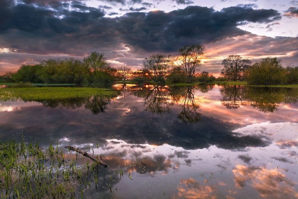 By the River...