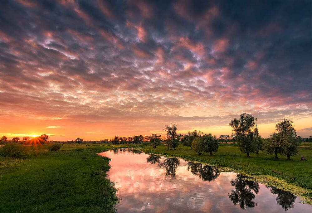 By the River...