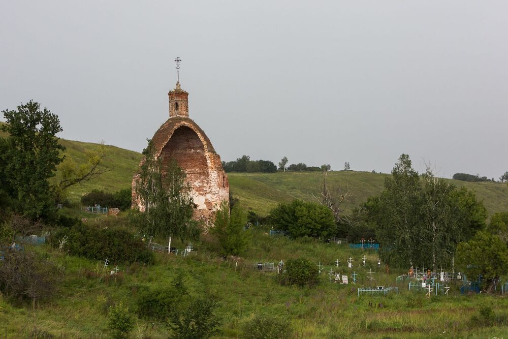 Один день из жизни подсолнухов