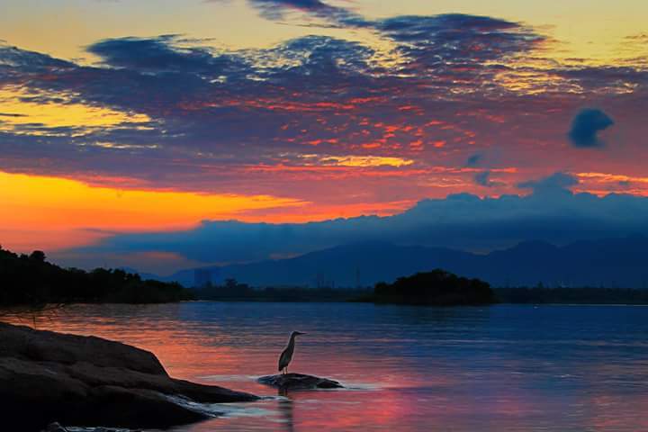 Rawal Dam, Islamabad