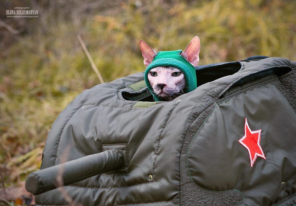 Настоящий танкист))