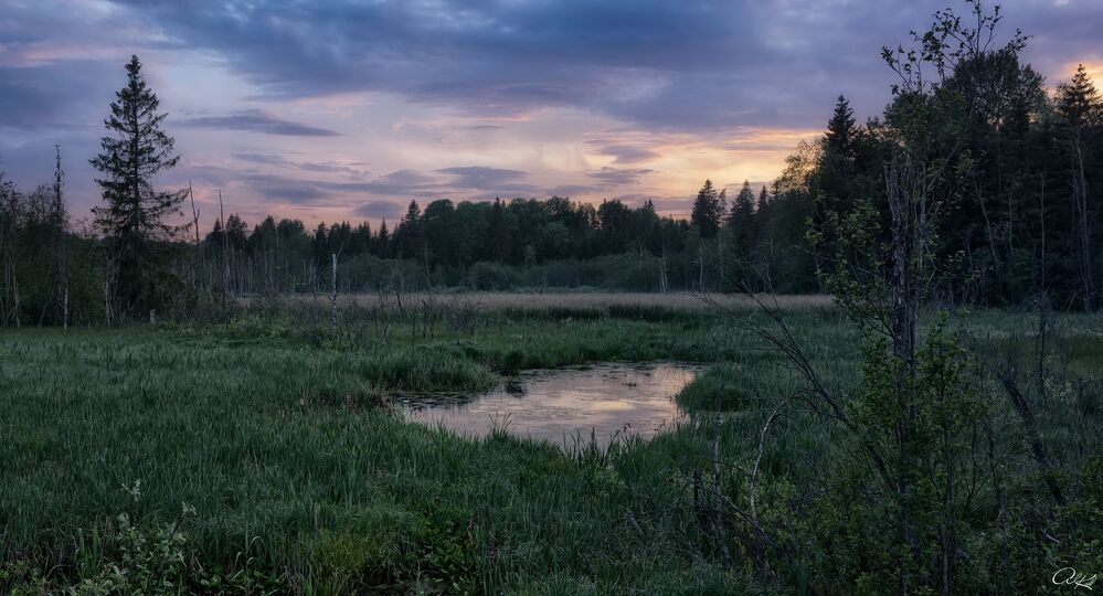 Тверские болота