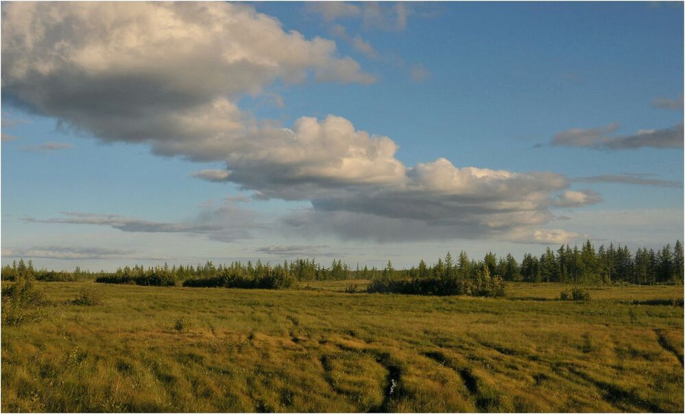 Вечерняя прогулка