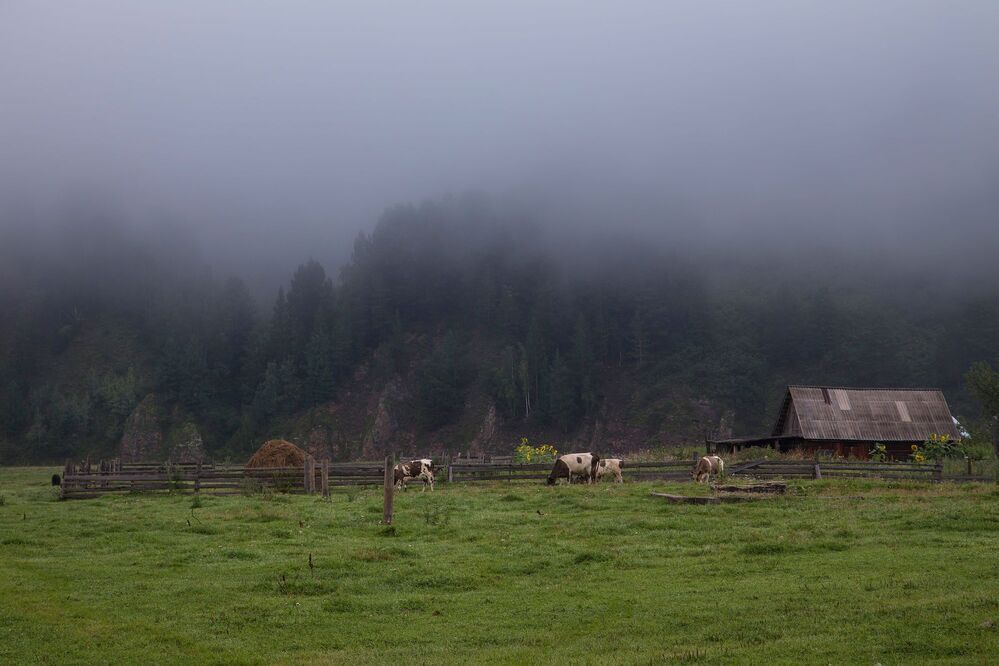 Утро в Усть-Кабырзе.