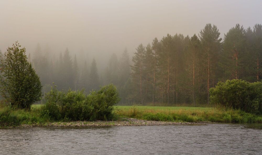 Утренняя фотоохота.
