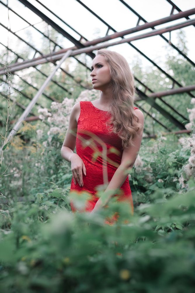 Dasha
