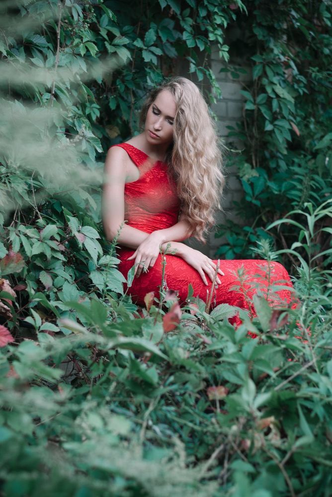 Dasha