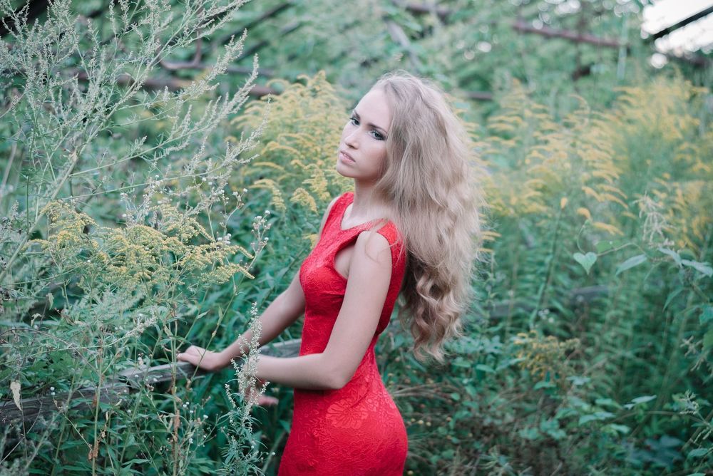 Dasha