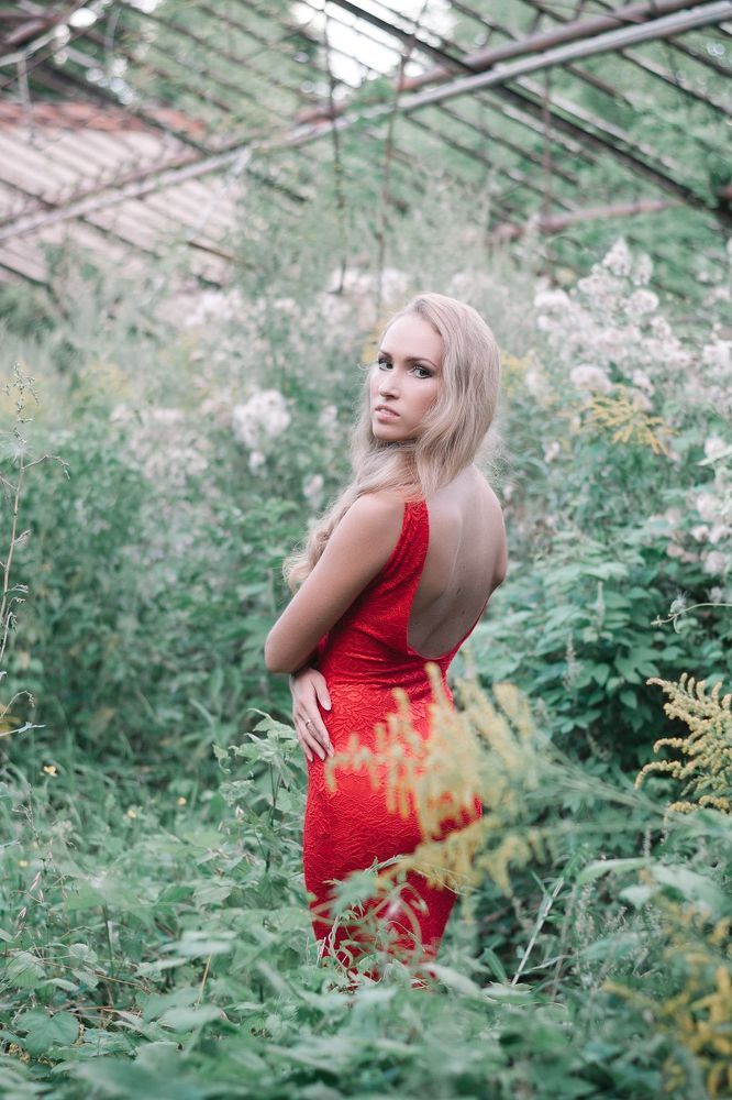 Dasha