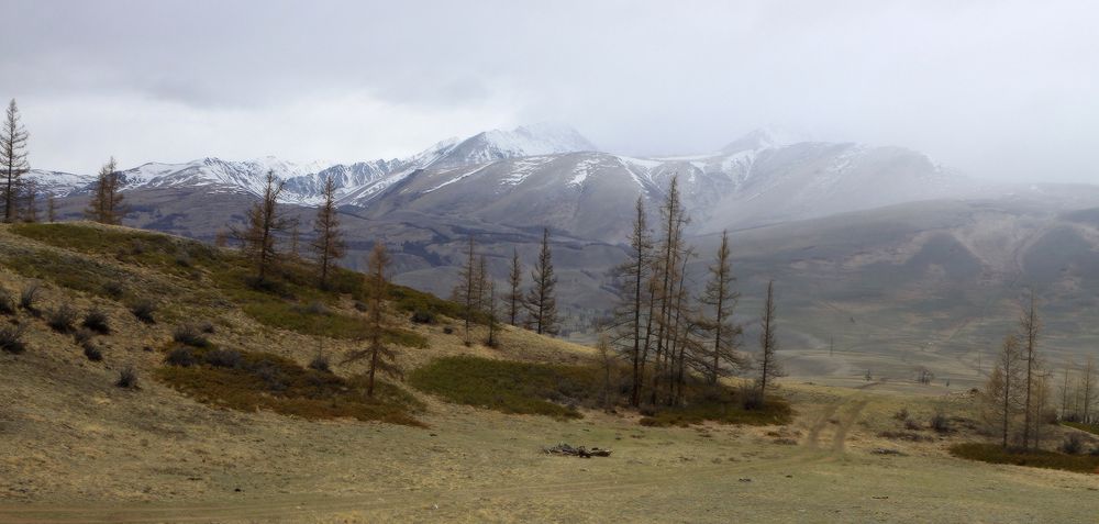Непогода в Курае