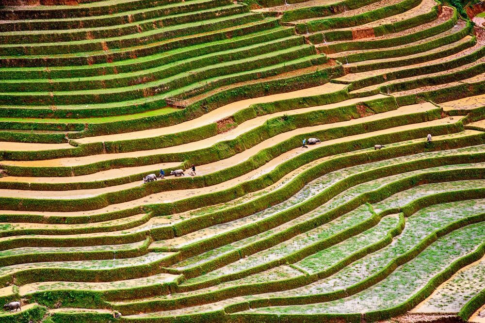 Mu Cang Chai