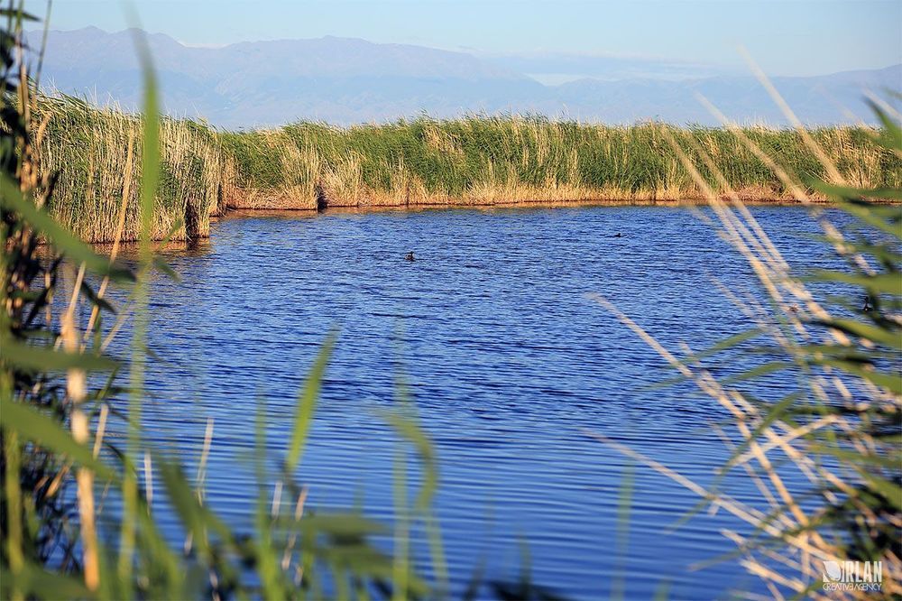 Uvs lake, Mongolia
