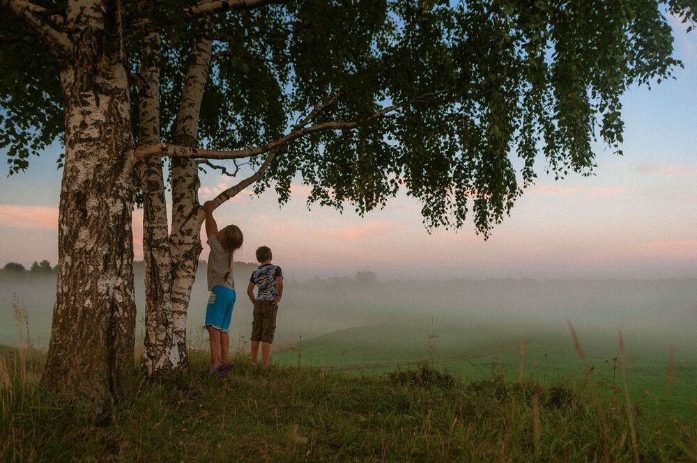 Свободное детство
