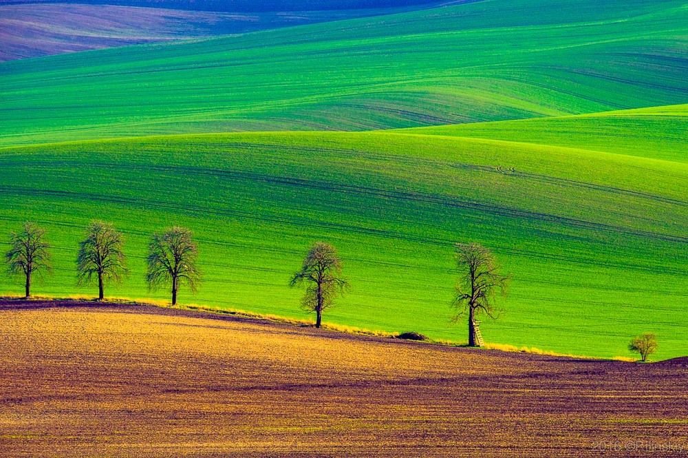 Чехия, Южная Моравия