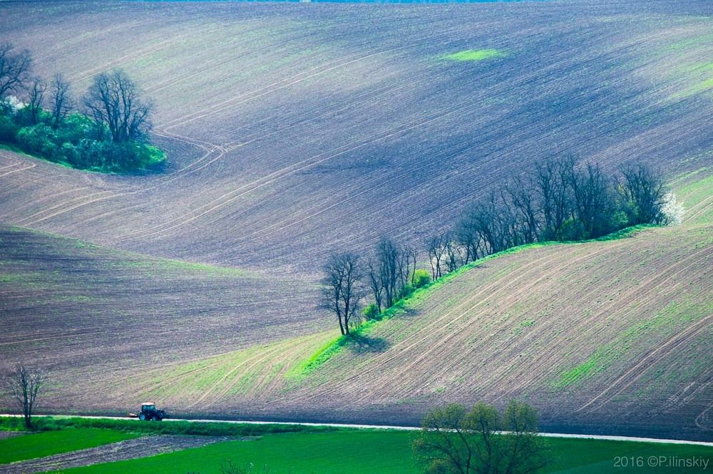 Чехия, Южная Моравия