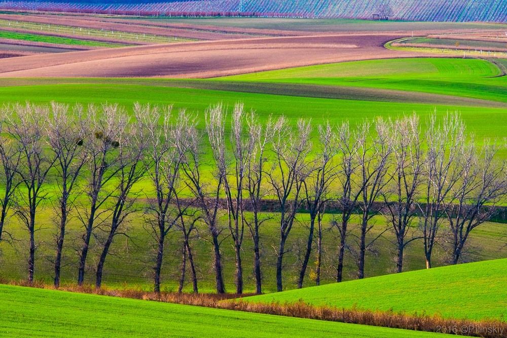 Чехия, Южная Моравия