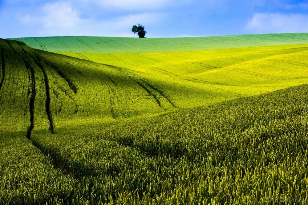 Чехия, Южная Моравия