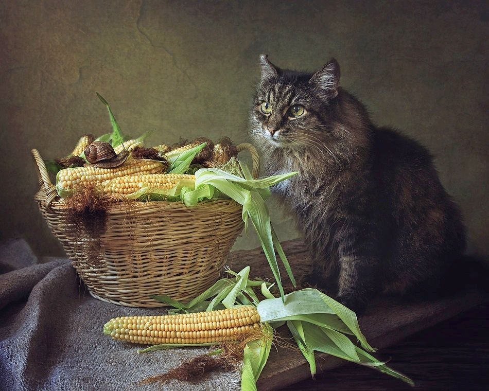 - Думаешь, нам этого хватит на двоих?