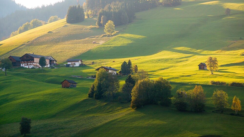 Alpin meadows