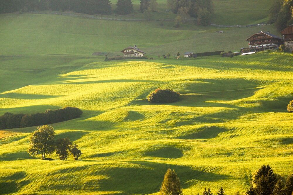 Alpin meadows